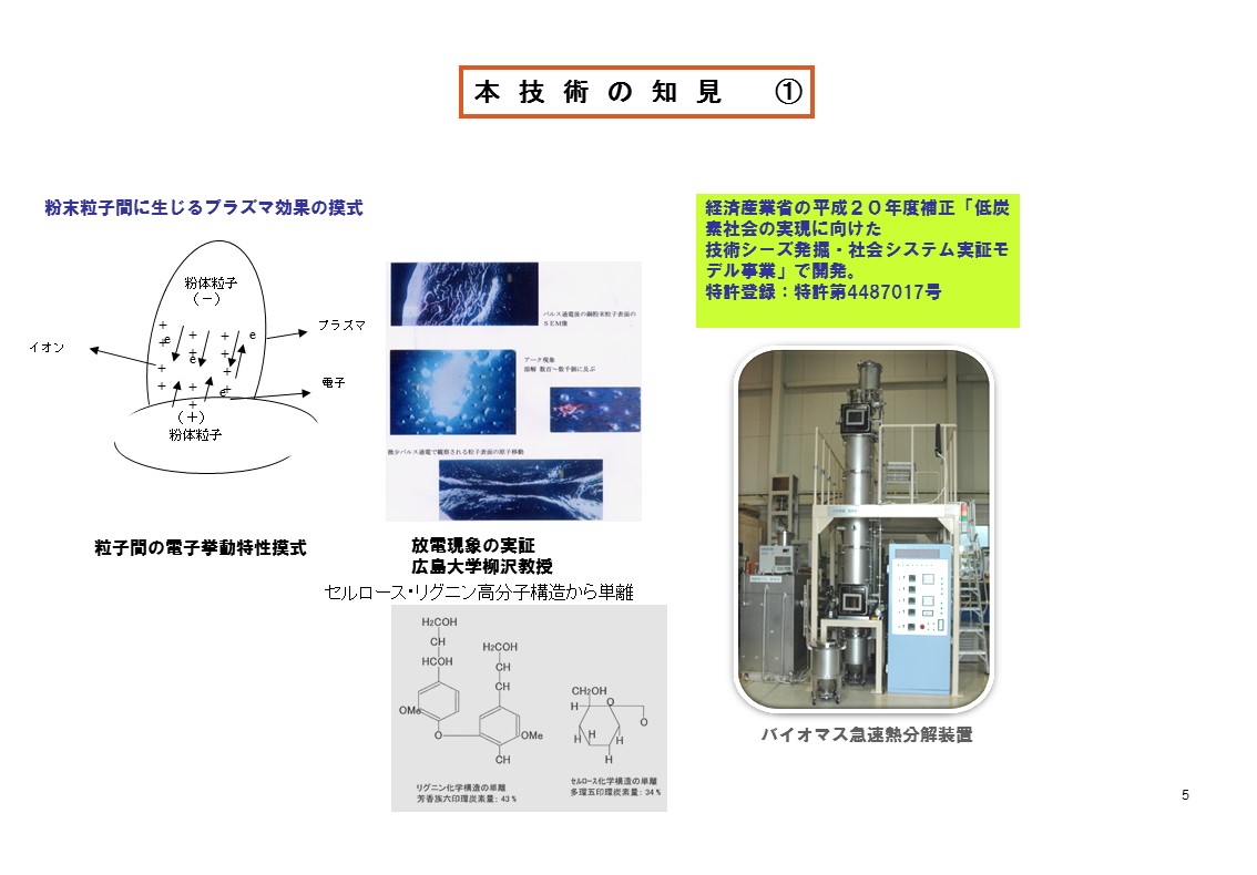 バイオマスカーボン