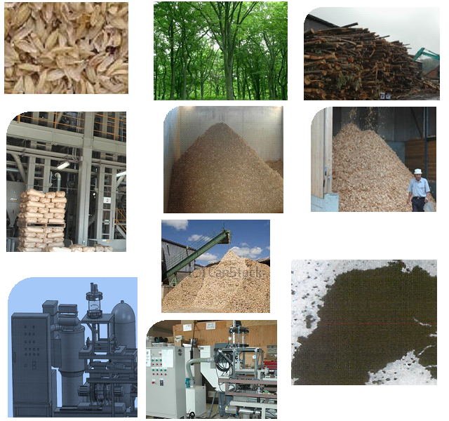 バイオマスカーボン