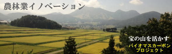 バイオマスカーボン