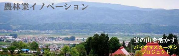 バイオマスカーボン