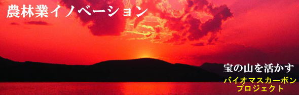 バイオマスカーボン