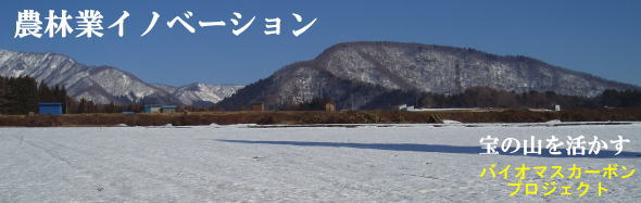 バイオマスカーボン