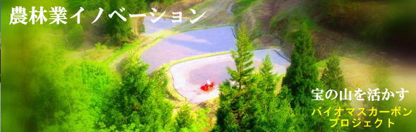 バイオマスカーボン
