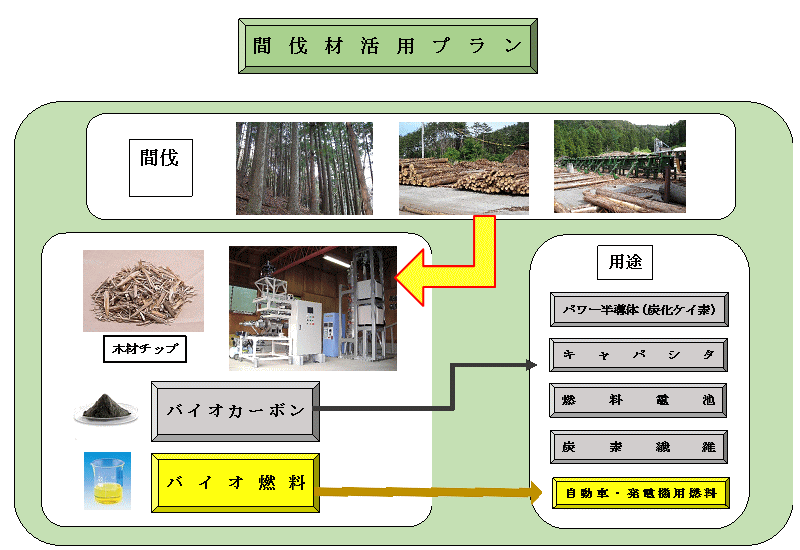 バイオマスカーボン